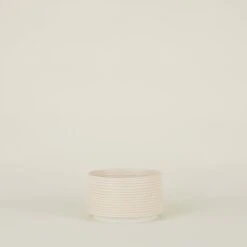 Contour Ribbed Planter - Apricot