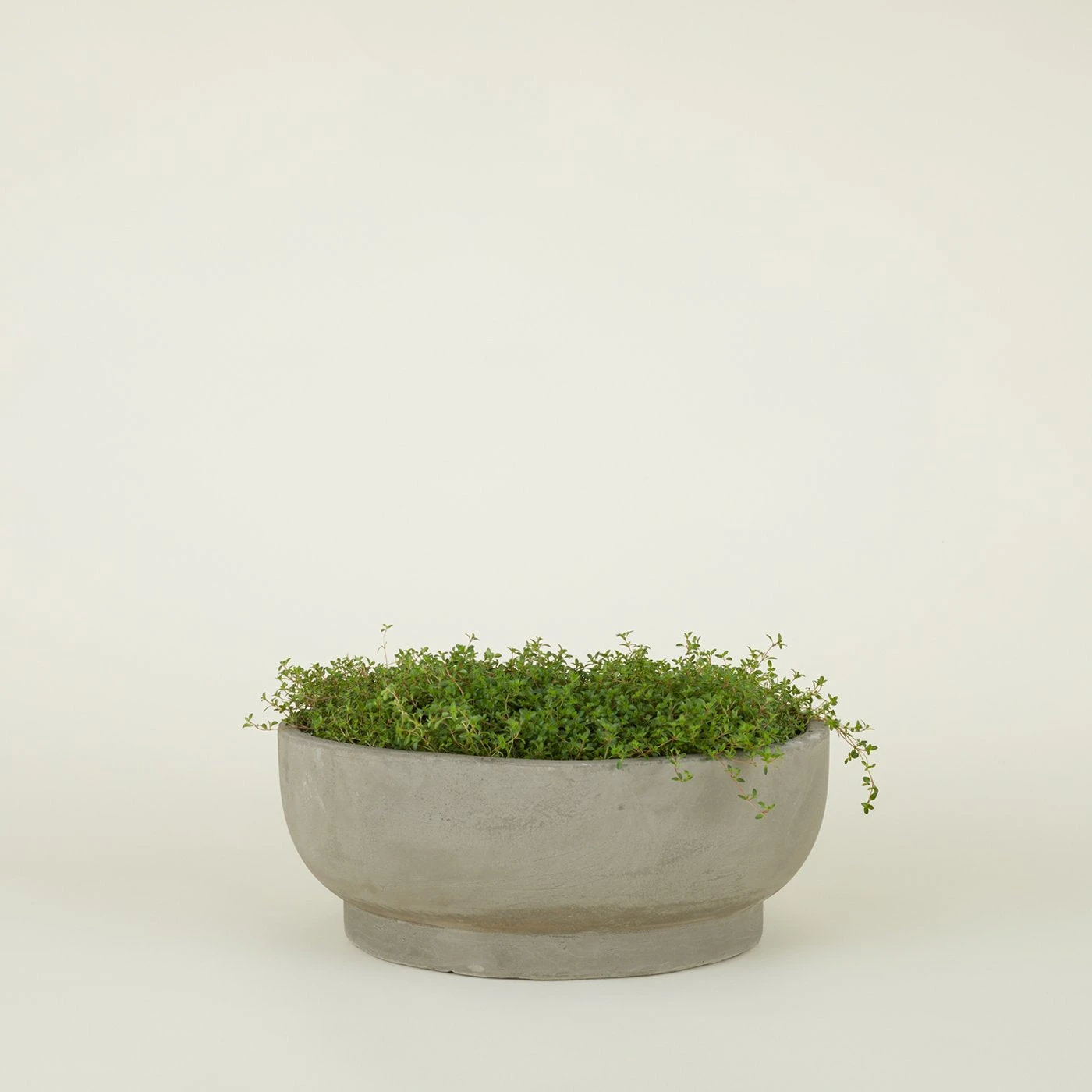 Footed Bowl Planter - Fiber Cement - Image 4