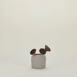 Extra Small Dome Vase