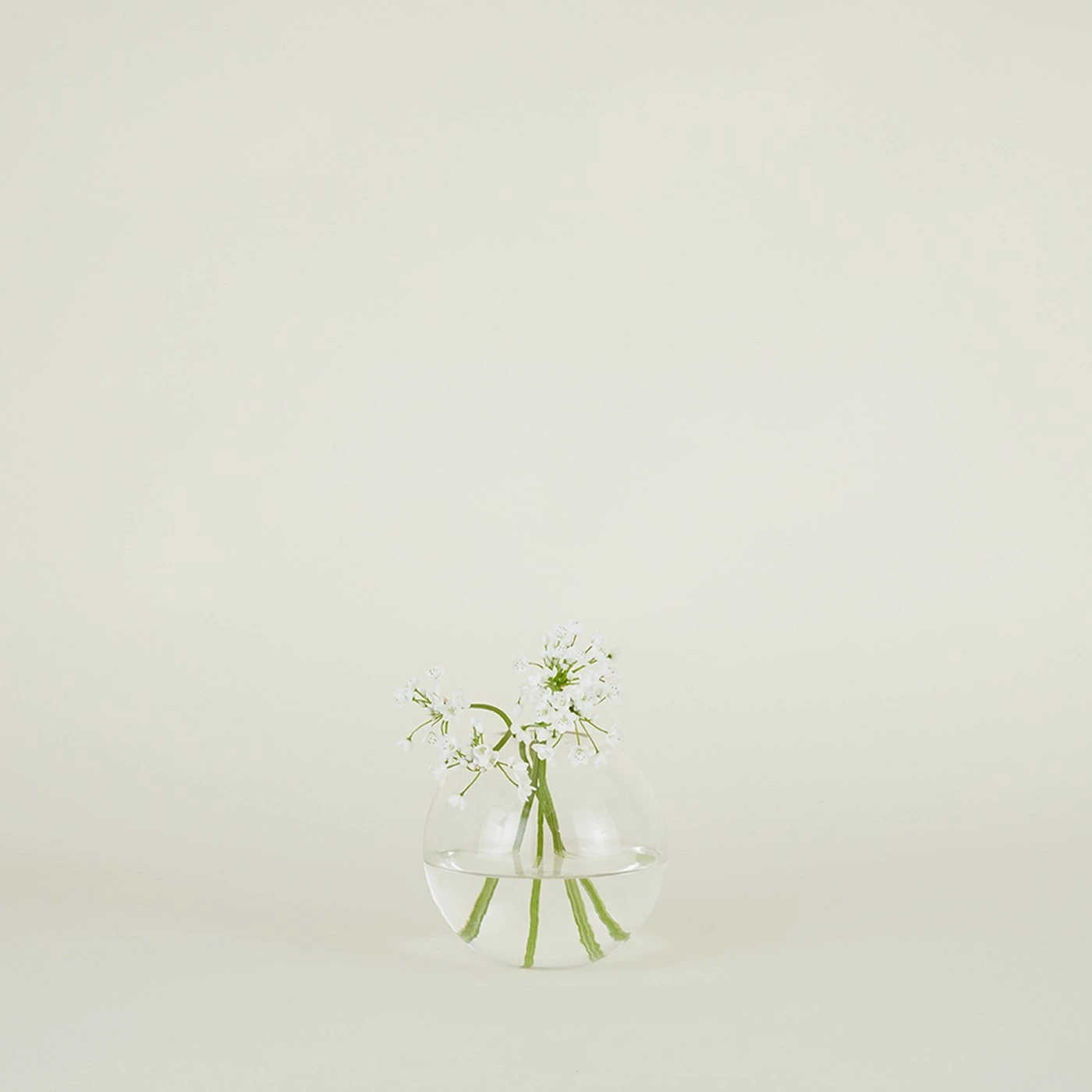 Aurora Sphere Vase - Clear - Image 2
