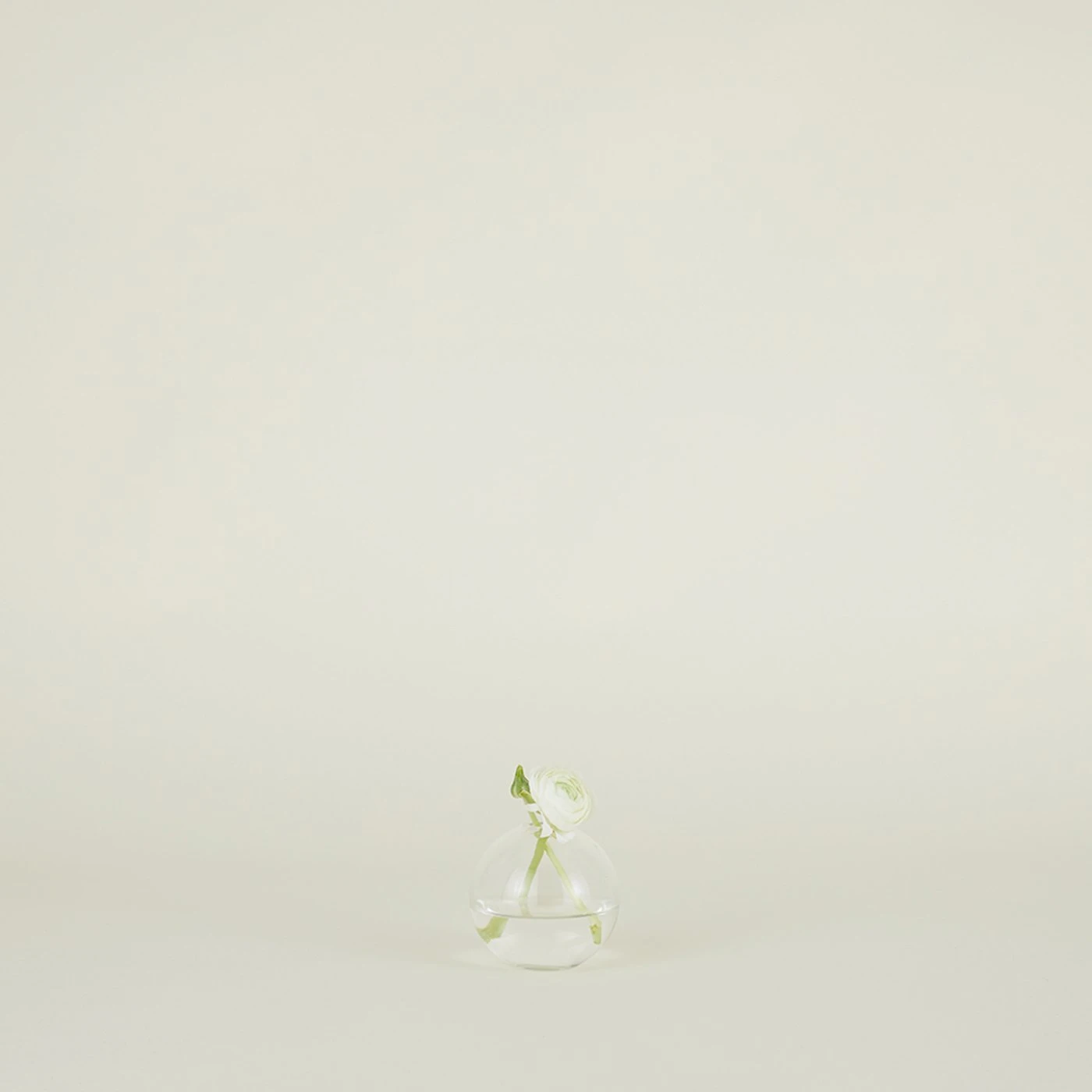 Aurora Sphere Vase - Clear - Image 3